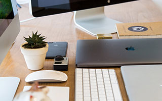 DeFi Token Performance & Investor Trends: The Grim Reality Post-October Crash for 2025